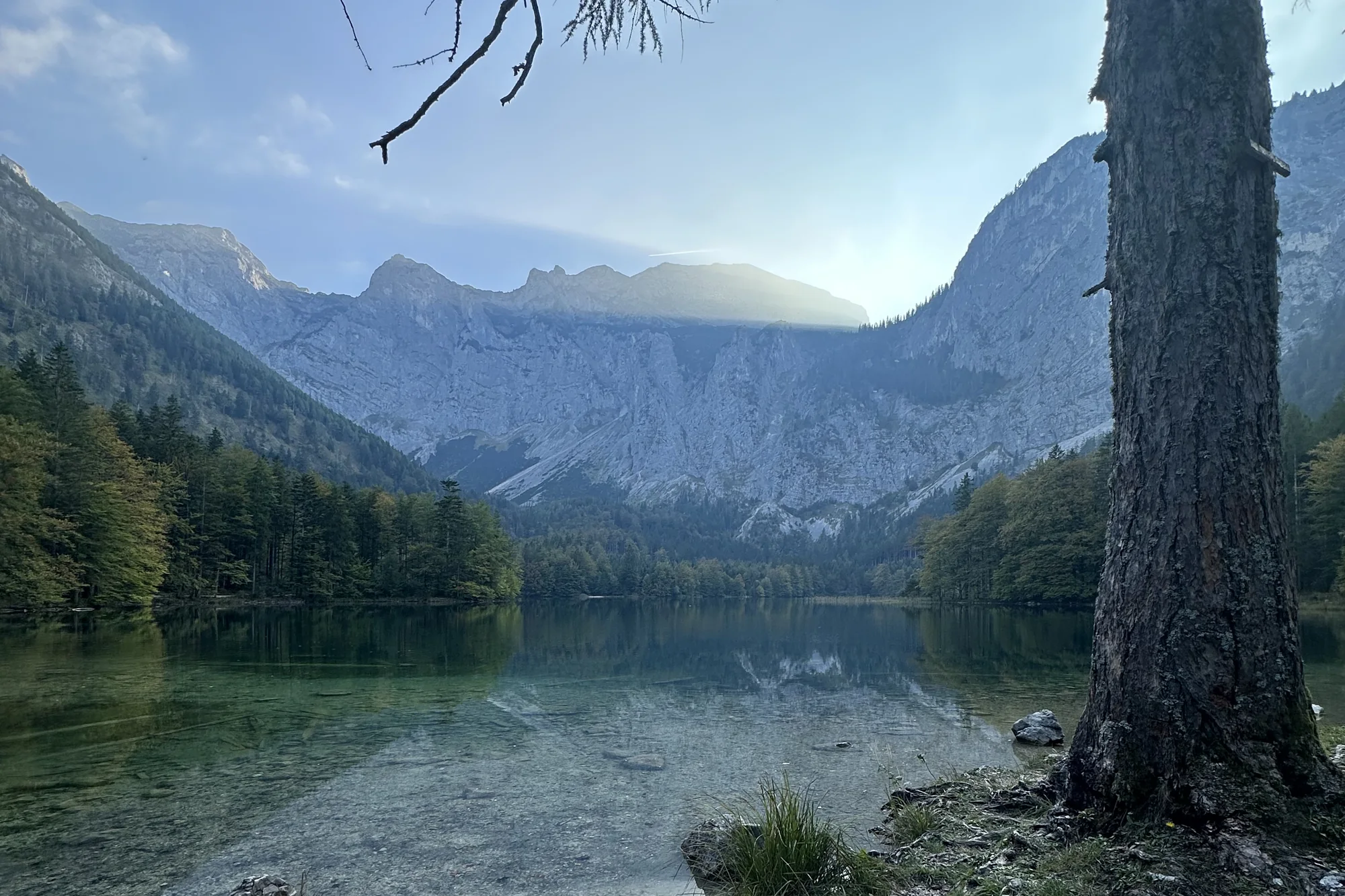 A mountain lake in the Salzkammergut, the far side of the valley in sun, a tree at the water's edge.